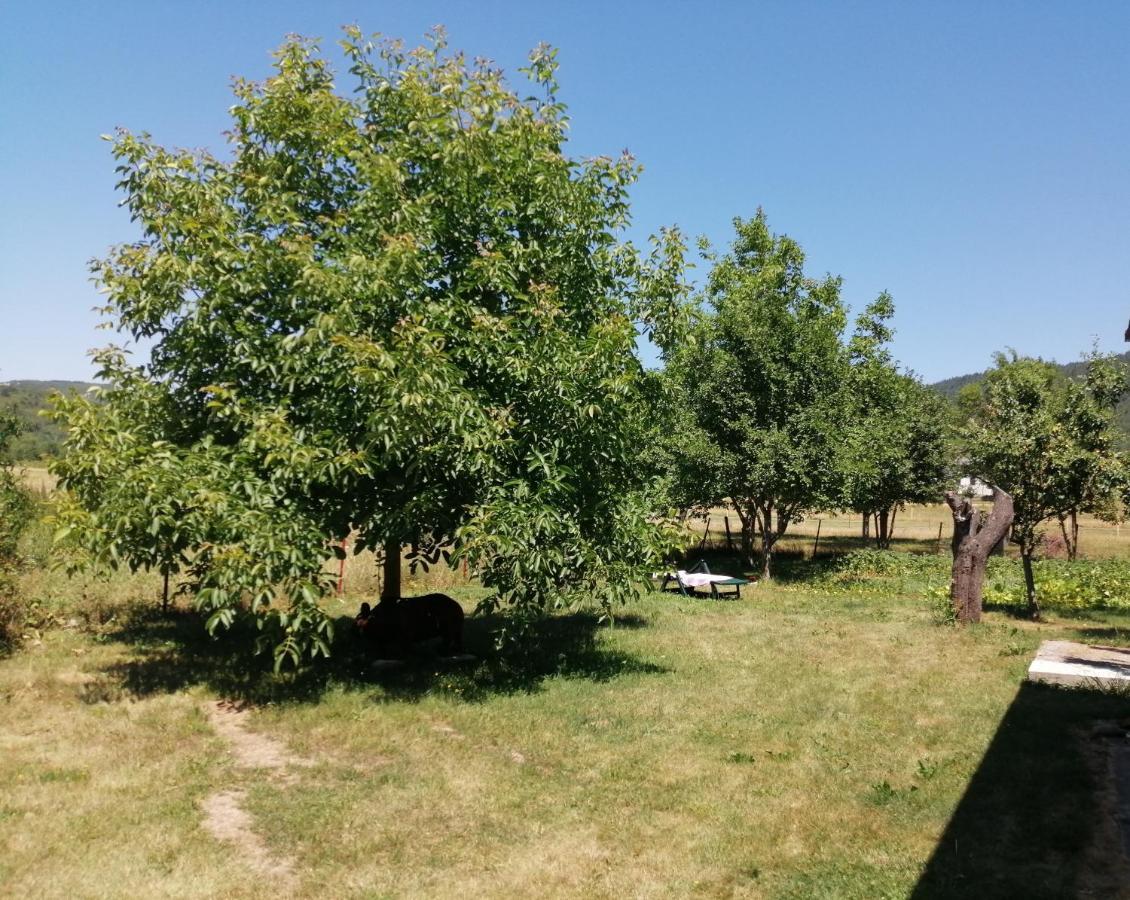 דירות Vrhovine House Natali מראה חיצוני תמונה